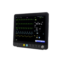 Moniteur patient vétérinaire grand écran LCD 15 pouces pour hôpital vétérinaire, chirurgie, soins intensifs, ECG, NIBP, SpO2, EtCO2, moniteur cardiaque