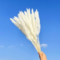 Bunga hias rumput Pampas alami kering bunga penjaga warna-warni putih bunga asli dekorasi rumah kecil Pampas