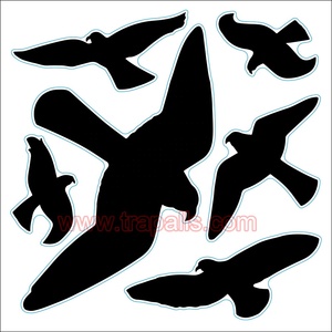 Adhesivo Repelente <span class=keywords><strong>de</strong></span> Aves para Ventanas <span class=keywords><strong>de</strong></span> Plástico Moderno, Reutilizable y Sostenible, Previene que las Aves Migratorias se Golpeen con el Vidrio, Protector <span class=keywords><strong>de</strong></span> Palomas para el Hogar - Product Image 2