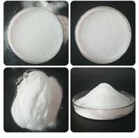 Xingyan haute qualité écologique TPU adhésif PET Film thermofusible blanc DTF poudre pour imprimante DTF transfert de chaleur impression vêtement