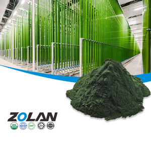 OEM Label pribadi <span class=keywords><strong>Spirulina</strong></span> 100% bubuk <span class=keywords><strong>Spirulina</strong></span> organik massal murni untuk dijual - Product Image 1