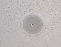 Haut-parleur de plafond single strereo haute performance haute puissance 100w 8 ''pouces haut-parleurs de plafond haut de gamme avec contrôleur audio