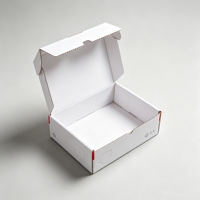 Boîtes d'expédition en carton ondulé recyclé, écologiques, avec finition brillante/mate, fenêtre transparente, revêtement UV, gaufrage et vernis laqué