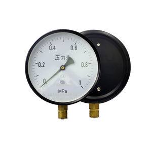 Ponteiro de aço inoxidável de 200mm, medidor de pressão líquida de wate, medidor de pressão de caldeira de 1mpa, indicador de medição de pressão hidráulica - Product Image 1