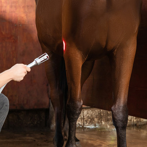 クラス4レーザー理学療法マシン810nm 980nm犬用猫の馬の怪我の回復と痛みの軽減 - Product Image 5