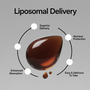 OEM Vegan <b>Dietary</b> Supplement Boost Immunity Elderberry Extract Oral Liquid Immune Support Elderberry Drink - Product Image 5