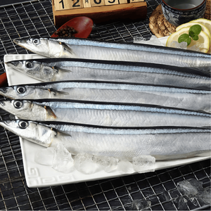 <span class=keywords><strong>Pescado</strong></span> Congelado Personalizado: Saury del Pacífico (Cololabis Saria) Entero, Fresco <span class=keywords><strong>de</strong></span> Aguas Profundas, Directo <span class=keywords><strong>de</strong></span> Fábrica China para Exportación - Product Image 5