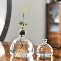 Jarrón de Vidrio Transparente Estético con Forma de Semilla de Aguacate, Florero Simple para Arreglos Florales Modernos en el Hogar