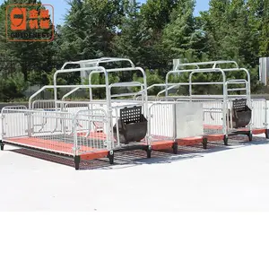 Complete automatic pig house farming equipment high quality