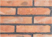 Briques d'argile rouge pleine grandeur technique frittée briques réfractaires solides avec caractéristique mince
