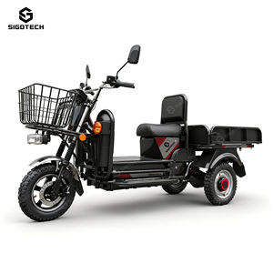 Tricycle électrique SIGOTECH OEM à forte charge, 35 km/h, 1500 W, tricycle électrique robuste à trois roues avec une grande capacité de charge - Product Image 1