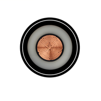 26kv 35kv 66kv 69kv 110kv 132kv 220kv 275kv 330kv High Electric Voltage XLPE Power Cables