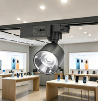 Ventes chaudes : Lampe orientable à angle réglable 15 W, anti-éblouissement, lampes COB, projecteur LED sur rail pour éclairage commercial