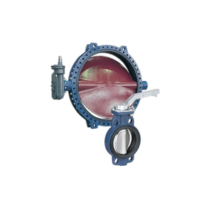 Vannes Paraseal à faible fuite, conception monolithique, joint de bride Keystone - Product Image 3
