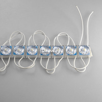 Module LED à lampe unique 110V 220V Blanc 1 LED SMD3030 Haute Luminosité 1W Étanche IP68 Modules LED pour Lettres et Signalétique