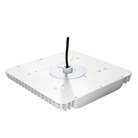 Lámpara LED de Alta Luminosidad de 60W para Techo, IP65 Impermeable, Haz de Luz Amplio, con 5 Años de Garantía, CRI 70, 3000-6500K, para Almacenes y Uso Comercial