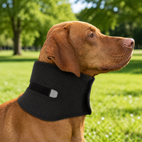 Collier cervical réglable pour chien, collier de soutien cervical souple pour animaux de compagnie pour la récupération des blessures au cou