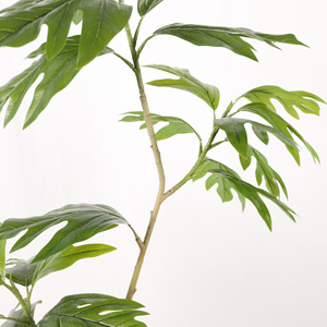 Planta de plástico simulada Interior Oficina Tienda Decorado <span class=keywords><strong>Bonsai</strong></span> Tree Artificial Baobab Tree - Product Image 4