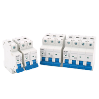 Interruptor de Circuito AC/DC QJC BD1-63S OEM ODM C65, Estructura Mejorada, 6ka, 2 Polos, PA66 Mini