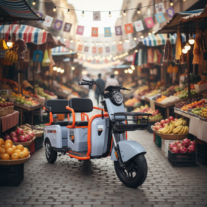 Tricycle électrique Paige de Chine, Volta Cargo pour adulte, scooter portable, trike motorisé, roadster marocain, 3 roues - Product Image 1