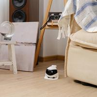 Application intelligente améliorée Contrôle sans fil Ebo Se Pet Companion Robot Camera Laser Automatique Electron Interactif Robot Jouet pour chat
