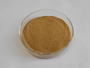 Extrait de fleurs de houblon de bière naturel en gros, prix naturel, 5% de poudre de xanthohumol - Product Image 4