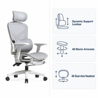 Chaise de bureau ergonomique moderne et confortable en plastique avec support lombaire, réglable en hauteur, pivotante, pour la maison et le bureau