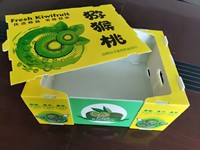 Boîte à fruits en plastique réutilisable avec capacité personnalisée et ventilation avec impression colorée