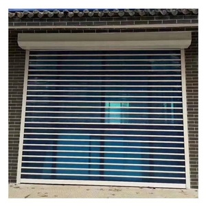 Porta <span class=keywords><strong>Avvolgibile</strong></span> in Policarbonato <span class=keywords><strong>Trasparente</strong></span>, Persiane di Sicurezza Chiare, Porte d'Ingresso Avvolgibili Trasparenti in Policarbonato - Product Image 1