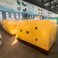 Générateur diesel Ricardo 60 kW 75 kVA au meilleur prix avec alternateur en cuivre pur et canopy, alimentation de secours extérieure