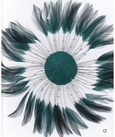 Plaque de plume de poulet noir Hackle pour chapeau de chapellerie Costume mariage décor de mariée mode cheveux Fascinator accessoire artisanat bricolage