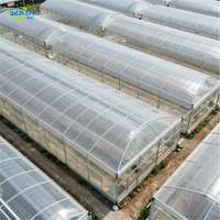 Serre Intelligente Multi-voûtes en Polycarbonate Anti-UV avec Isolation Thermique en Plaques PC de 8mm et 10mm pour la Culture Agricole, les Légumes, les Fleurs et les Pépinières