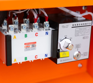 Groupe électrogène silencieux 20KW 25KVA Ricardo 4 cylindres avec radiateur, alternateur K4100D, pompe et filtres FR-20 Ricardo Di - Product Image 6