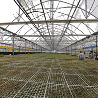Serre intelligente de 1000 m² de conception anglaise, directement de l'usine, avec matériaux PVC et film