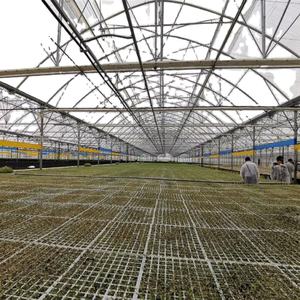 مباشرة من المصنع 1000 م 2 تصميم دفيئة إنجليزية ذكي مع بولي كلوريد الفينيل و! - Product Image 2