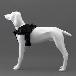 Köpek manken ekran Viszla köpek şekli manken ekran hayvan köpek manken ayrılabilir bacaklar ve kuyruk ile satılık - Product Image 5