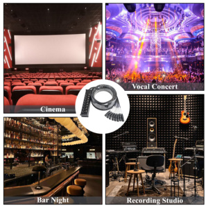 Joinaudio profesional seimbang 8 Channel Stage Box 3 Pin XLR <span class=keywords><strong>DMX</strong></span> kabel ekstensi Multicore kabel ular 25 kaki 40 kaki (JFAB8) - Product Image 6