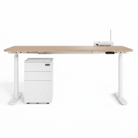 Bureau debout modulaire électrique réglable en hauteur avec casier de rangement intégré pour projet d'espace de coworking ouvert