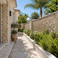 Revêtements muraux en pierre préfabriquée, panneaux muraux en pierre cultivée, revêtement extérieur, grandes dalles, villa, jardin, paysage, façade
