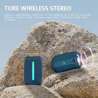 Altavoz Portátil Mindpure, IPX7 Impermeable, Inalámbrico, Resistente, para Exteriores, con Luz RGB, Bajos Profundos, TWS, para Fiestas