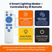 Contrôleur de lampadaire solaire MPPT 20A, batterie au lithium 3.2V 3.7V, étanche IP67, régulateur LED, télécommande IR, 40W 8h