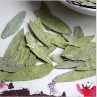 Daun Senna Kering Herbal Alami 100% Berkualitas Tinggi yang Sedang Populer