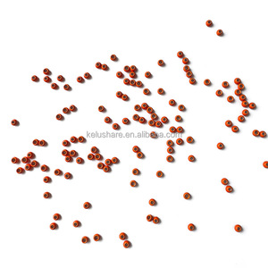 Perles de cyclope en cuivre orange fluorescent de 2,4 mm, têtes de mouches nymphes métalliques, cyclope pour la pêche à la mouche, poids pour la pêche à la carpe, matériaux - Product Image 3