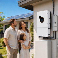 Sistema de Energía Solar Híbrido de Calidad Superior de 8kW, 10kW, 12kW, Estándar Estadounidense, Bifásico, con Conjunto de Baterías de Iones de Litio