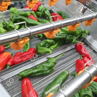 De Nieuwe Automatische Fruit-En Groenteproductielijn Omvat Het Blancheren Van Droogverpakking Voor Versnipperde Groenten En Fruit