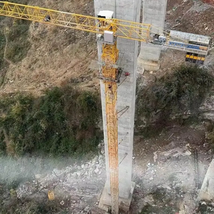 رافعة برجية زوملايون بطول ذراع 60 متر وحمولة 8 طن، جديدة بنسبة 85٪، موديل 6015-8، مع نظام هيدروليكي كامل ومحرك - Product Image 2