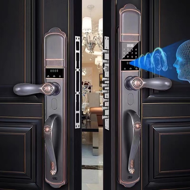 Tuya Wifi App Remote Control Luxury Villa Smart Home Door Lock Main Camera Electronic Fingerprint Face Anti-Theft Mortise Lock