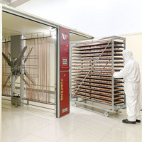 Incubateur d'œufs automatique YFDF-768SL avec taux d'éclosion élevé volaille ferme poulet canard Oeuf Couveuse état neuf