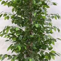 Arbre artificiel Ficus variegatus, plante artificielle Banyan variegata avec feuillage à bords blancs pour intérieur, maison, bureau, plusieurs tailles
