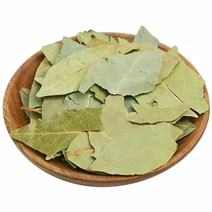 Singole spezie ed erbe foglie di alloro dal sapore forte foglie verdi spezie naturali foglia di alloro mircia per condimento alimentare